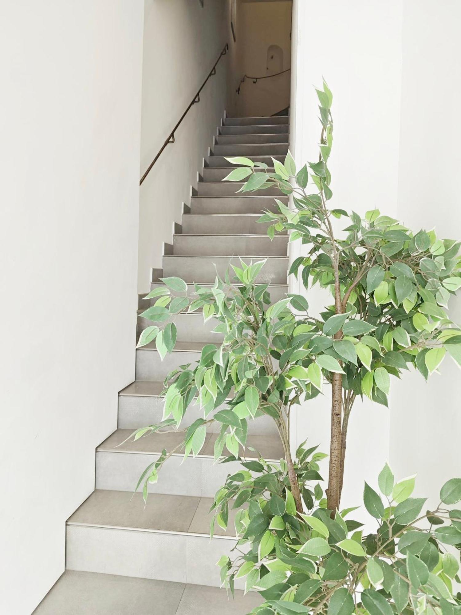 Cassis Loc - Chambre Meublee Luaran gambar